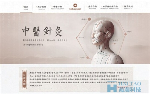 中醫(yī)院網(wǎng)站建設(shè)方案-中醫(yī)院網(wǎng)站