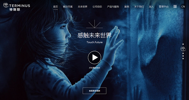 特斯聯(lián)網(wǎng)站設(shè)計(jì)案例