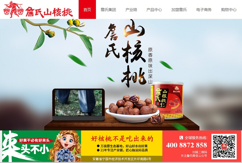 13個零食網(wǎng)站設計欣賞