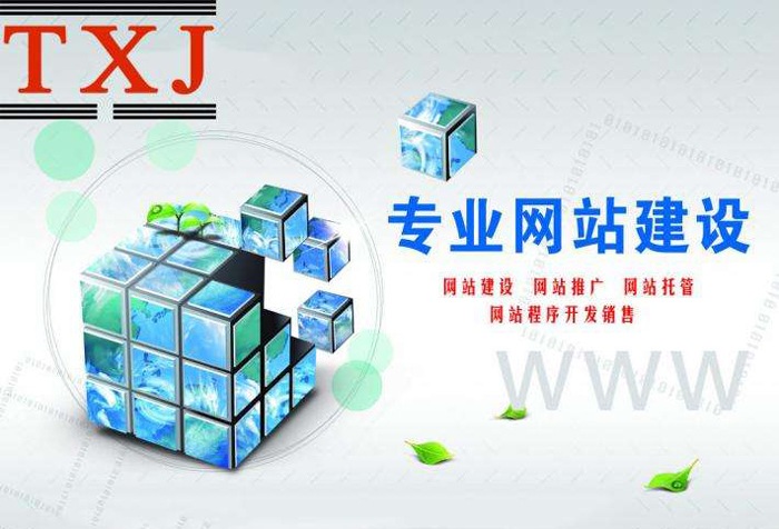 企業(yè)專業(yè)網(wǎng)站建設