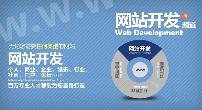 企業(yè)專業(yè)網(wǎng)站建設