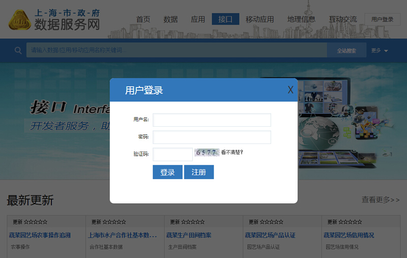上海數(shù)據(jù)服務(wù)網(wǎng)網(wǎng)頁設(shè)計(jì)案例