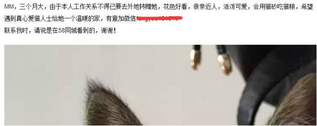 信息流爆炸時代，流量分散，玩轉(zhuǎn)吸粉，這些套路你得會 經(jīng)驗心得 第1張