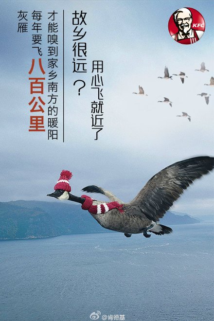 分析了2000張創(chuàng)意海報(bào)，找出讓你快速掌握做海報(bào)的套路